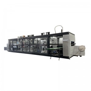 Supply OEM Automatic Multi-Station Tray /Container Thermoforming Machine with High Quality