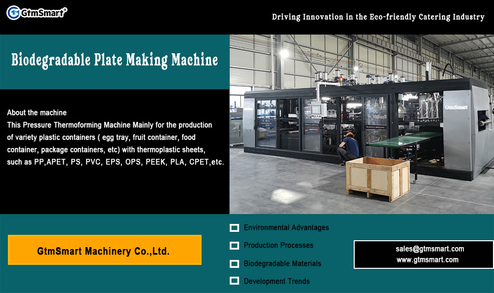 Biodegradable Plate Making Machine: Driving Innovation in the Eco-friendly Catering Industry