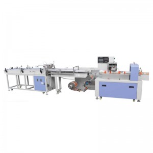 Double Cup Counting and Single Packing Machine HEY13