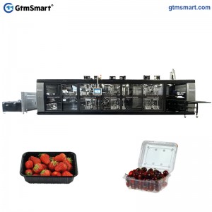 GtmSmart Plastic PET Thermoforming Machine China Manufacturers Supply