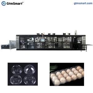 Wholesale Price Automatic Plastic Glass Making Machine Price – Factory China Disposable Food Container Lunch Box Making Machine Plastic Thermoformer Machine – GTMSMART