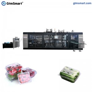 Top Quality China Hot Sale Advanced Plastic Container Thermoforming Machine for PS PP PLA Plastic Making Machines