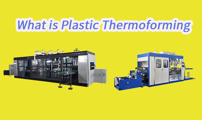 Introduction of What is Plastic Thermoforming from Type and  Examples