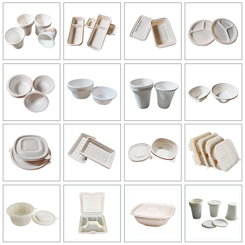 biodegradable disposable food container