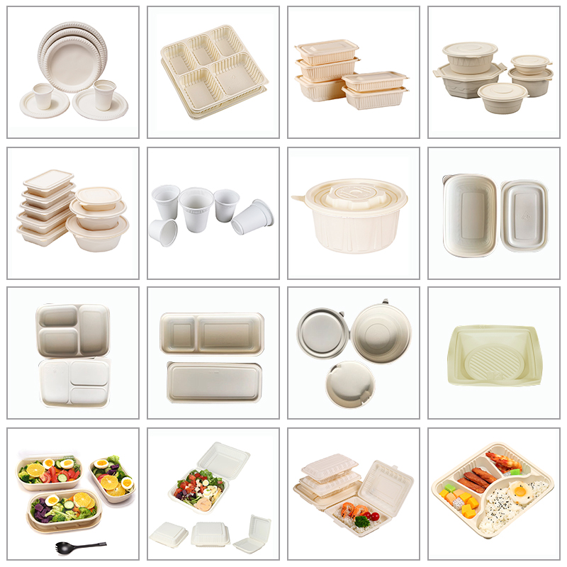 biodegradable food packaging