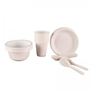 PLA Biodegradable Corn Starch Plastic Food Packaging Tray Container Manufacturer Supplier