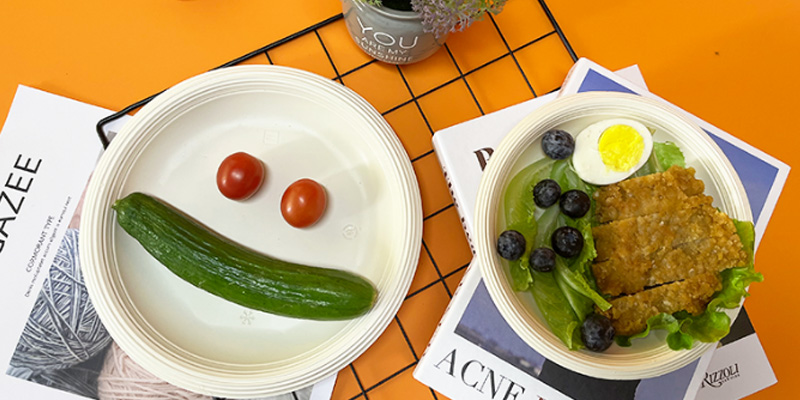 biodegradable plate (1)