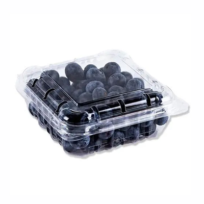 Various types of lids